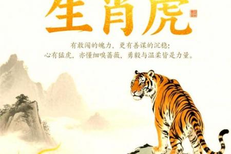 属虎者离异后能否获得幸福