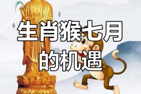 属猴者运势最佳的行业选择