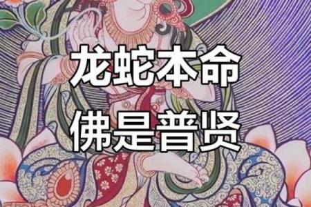 属龙女子由谁守护至白头