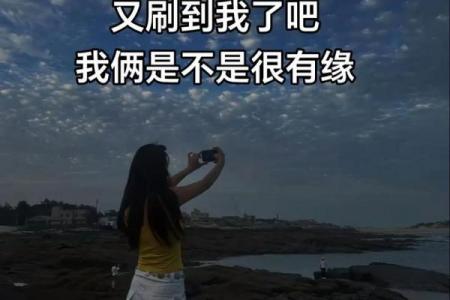 属兔女性晚年是否注定守寡