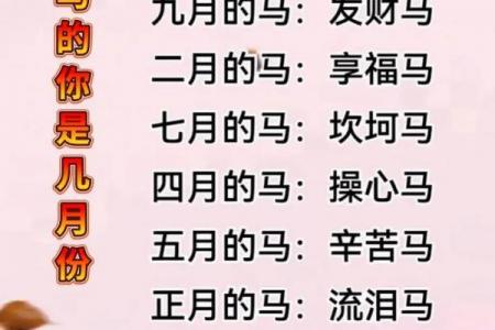 2002年杨柳木命属马人的命运