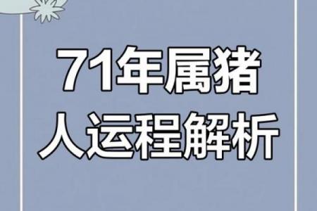 1959年属猪人一生命运解析