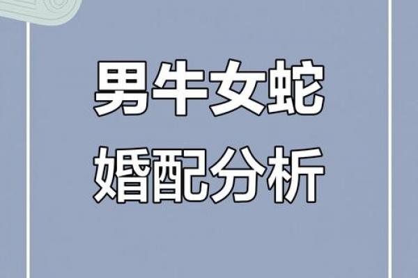 属牛人最佳伴侣与最深爱之人