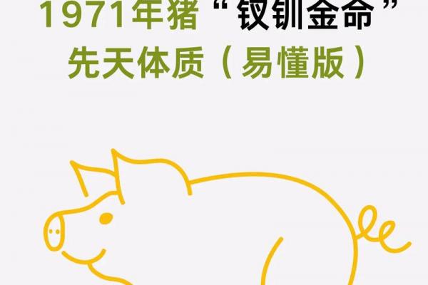 属猪人一生的三大宿命