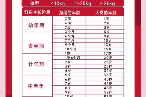 属狗人最旺运的年份