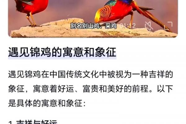 金鸡命的命理含义