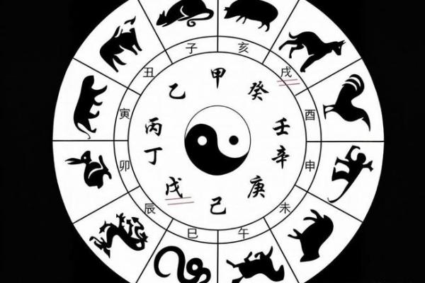 水虎命是否为上等命
