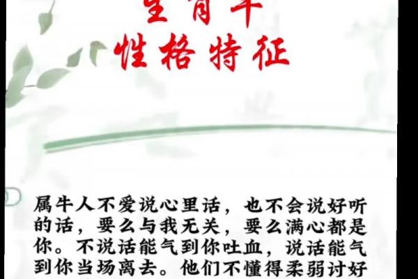 属牛者晚年是否有老伴