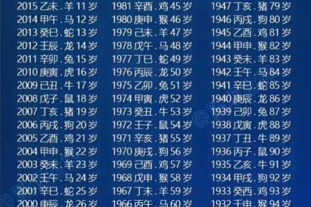 属蛇人永久最吉利数字
