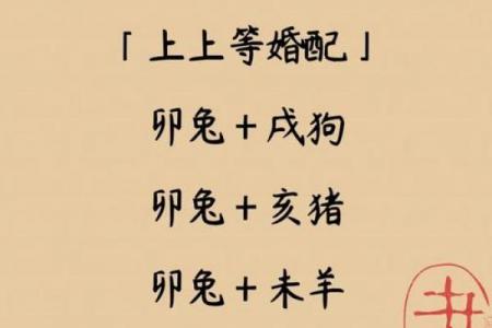 属兔者晚婚是福是祸