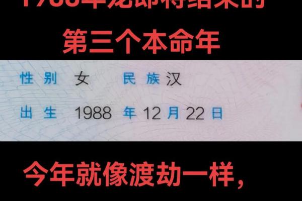 1988年哪个月出生的龙命运坎坷