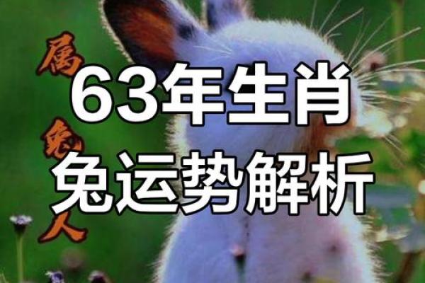 土兔命富贵还是贫穷