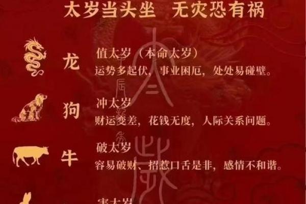 2026年属兔者的幸运数字有哪些