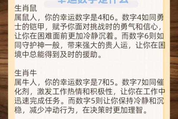 2026年属兔者的幸运数字有哪些