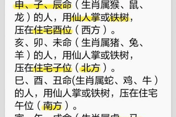 2026年属猪者旺桃花指南