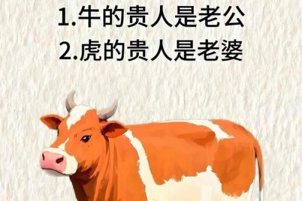 2026年谁会紧追属牛之人