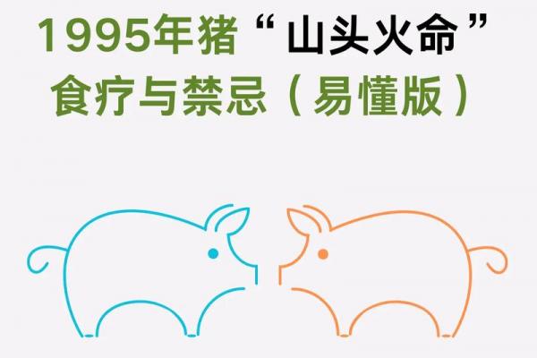 95年出生属猪的人命运如何