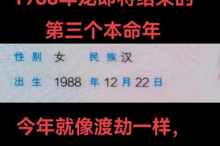1988年哪个月出生的龙命运坎坷