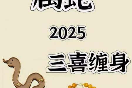 土蛇命适合的职业方向