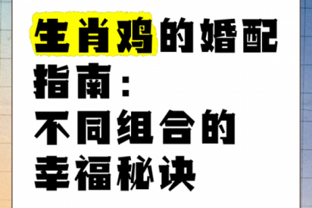 金鸡命与海中金命婚姻匹配度分析
