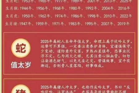 生肖龙最苦的年龄段