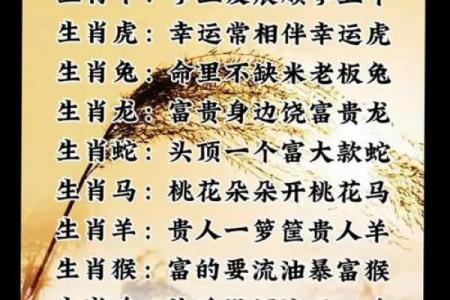 2026马年对属鸡人的运势影响