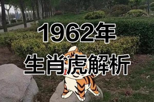 1962年属虎人的五行属性