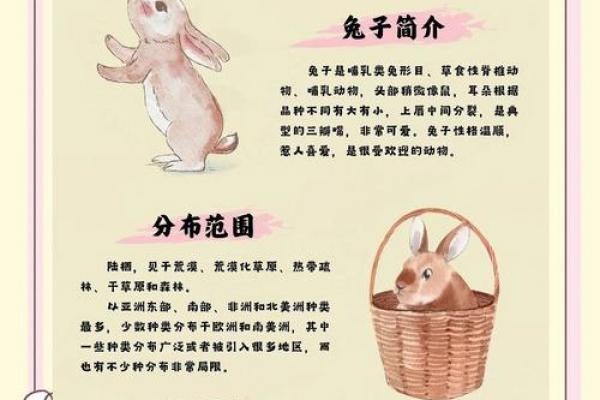旺大溪水命的兔属相解析