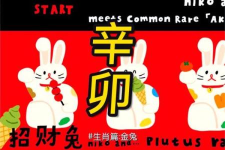 金兔命最佳出生月份