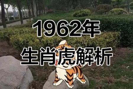 1962年属虎人的五行属性