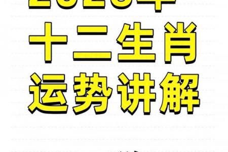 2026年属狗者全年运势解析（1982年生人）