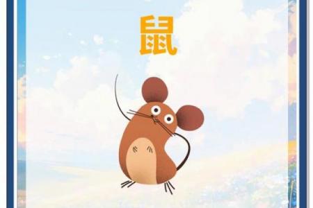 木鼠命与何命相合