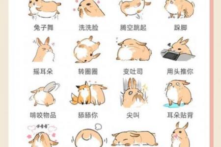 旺大溪水命的兔属相解析