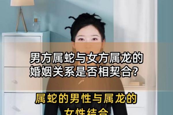 属龙者晚年是否有伴侣