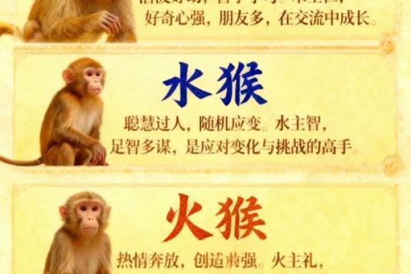 属猴者喜水还是喜火