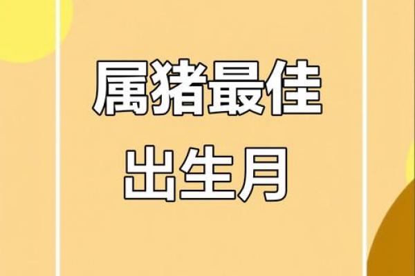 属猪者晚婚究竟是福还是祸