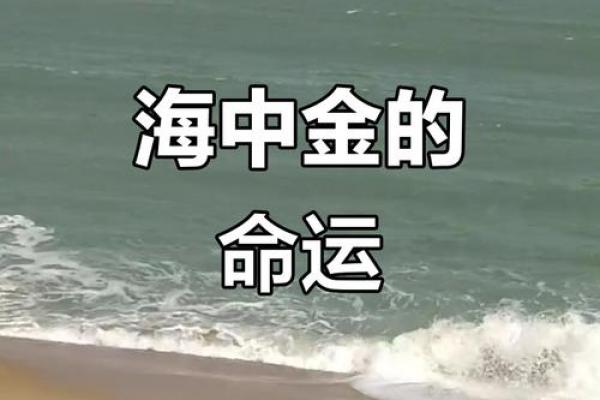 海中金命与海中金命是否相配