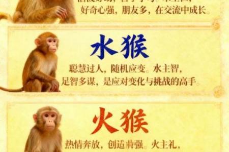 属猴者喜水还是喜火