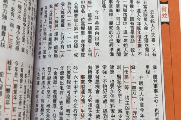 11月降生的属蛇人运势如何