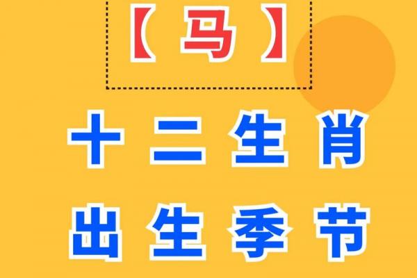 属马人走大运的年龄段