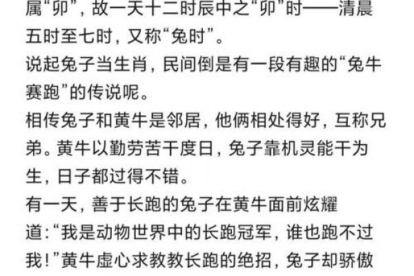 2026年属兔者能否庆祝生日，兔年生日需注意哪些事项