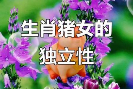 2026年属猪女性的婚姻对象预测