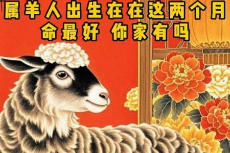 属羊人哪一年运势最旺，哪些年份对属羊人较为吉利