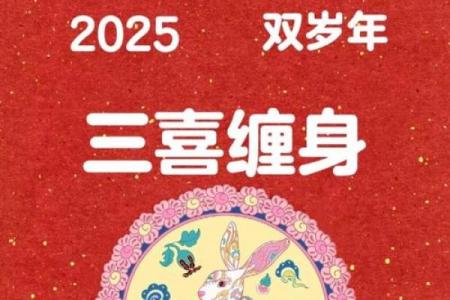 2026年属兔者能否庆祝生日，兔年生日需注意哪些事项