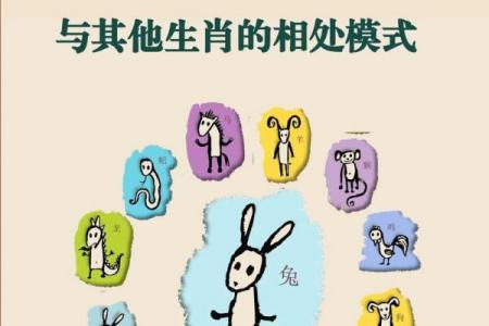 属猪者终身财富运势走向