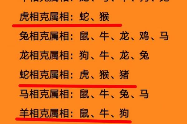 属兔女2026年能否脱单找男友
