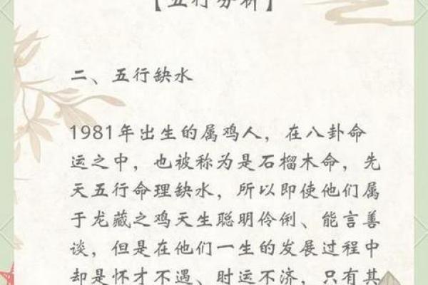 属鸡者2026年学业运势解析