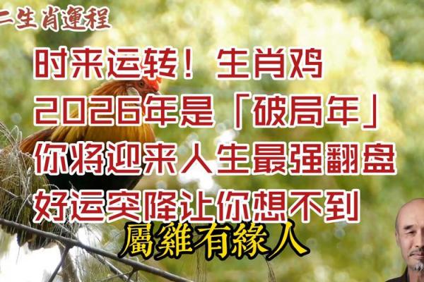 属鸡者2026年喜事临门需留意事项