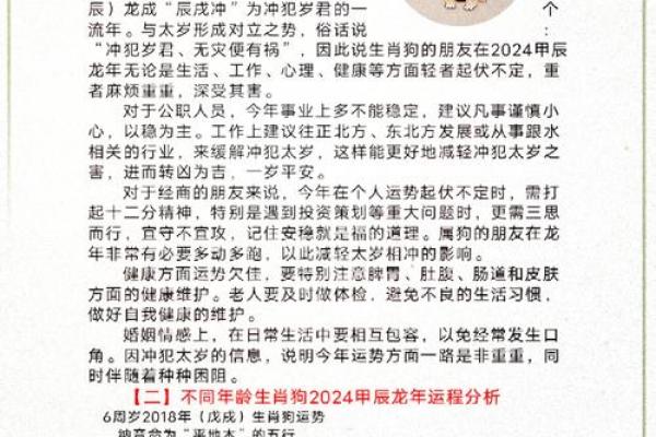 属猪午时降生男婴命理分析