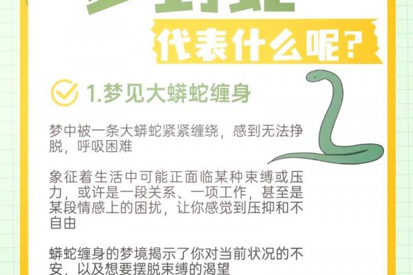 蛇和谁结婚最旺运核心技术解析